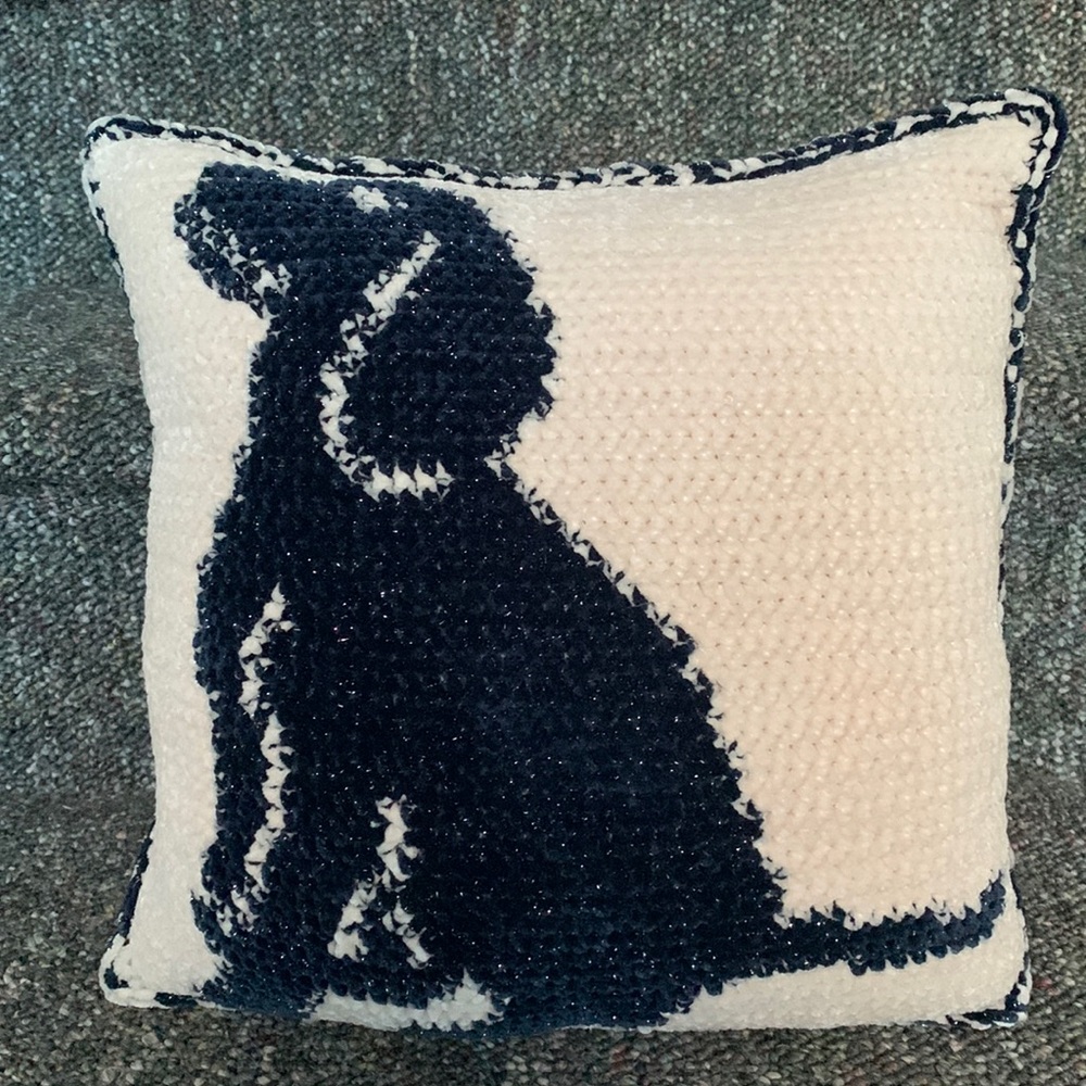 NEW Handmade crochet velvet 13x13 dog lover pillow